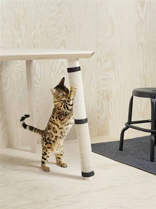 Коллекция Ikea Lurvig предназначена исключительно для кошек и собак