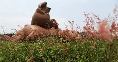 сад с коричневой скульптурой