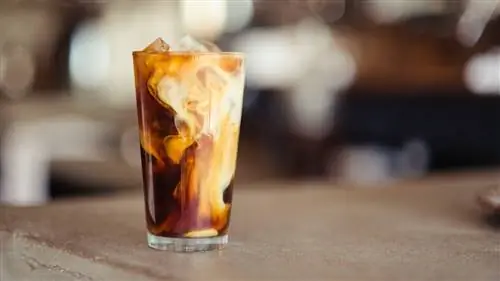 Рецепты с дизайном: как приготовить любимые напитки Starbucks дома