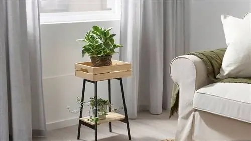 Это лучшие подставки для растений, которые вы можете купить прямо сейчас