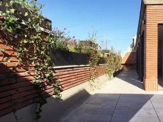 Архитектор особенно гордится линейным прудом, который собирает воду, вытекающую из медных труб вдоль…