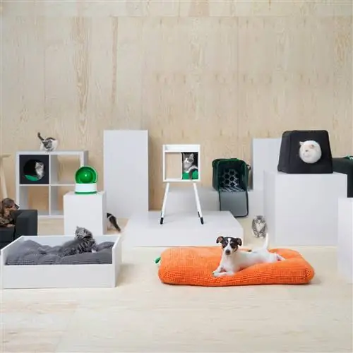 INMA BERMÚDEZ получает первую награду Mini Design Award INMA BERMÚDEZ получает первую награду Mini Design Award