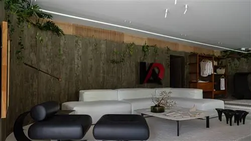 Бетон, стекло и РАСТИТЕЛЬНОСТЬ