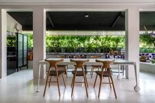 Сальвадор-де-Баия на северо-востоке Бразилии известен своей португальской колониальной архитектурой, афро-бразильской культурой и…