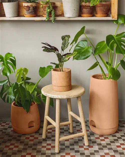 Наши фавориты от KAVE HOME для вашего экстерьера