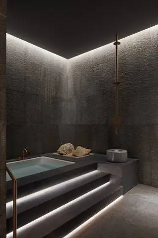 В 2013 году он запустил Pallavi Dean Interiors, которая в 2018 году была переименована в Roar