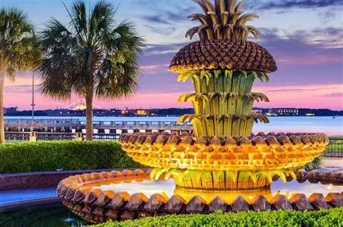 фонтан в виде ананаса
