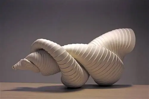 Scalaria Bifurca, работа, с которой он стал финалистом Loewe Craft Prize 2018