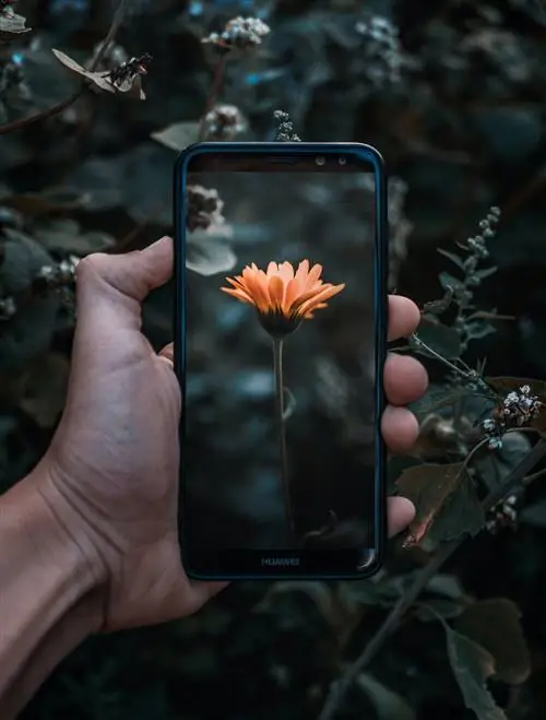 Приложения для идентификации растений iKnow Trees 2 LITE