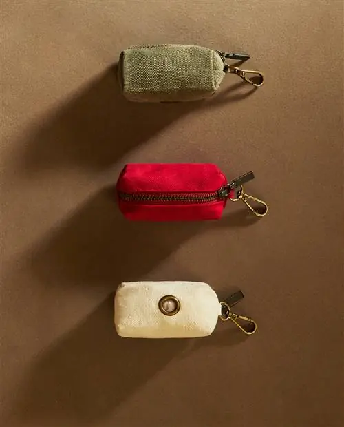 Коллекция домашних животных Zara Home - доступная, элегантная и дизайнерская