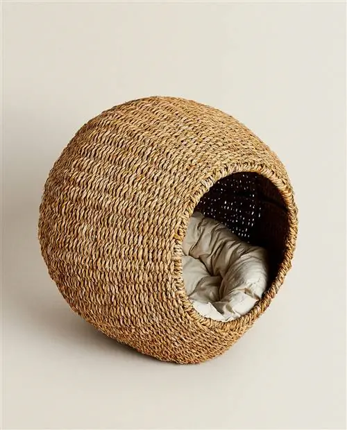 Коллекция домашних животных Zara Home - доступная, элегантная и дизайнерская