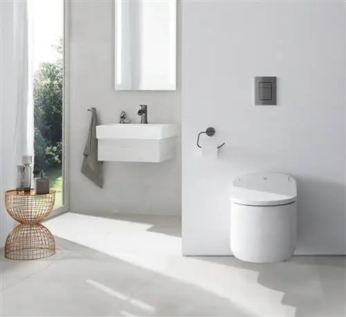 Унитаз-биде Sensia Arena от Grohe