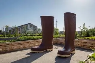 В самом сердце фруктового сада, известного как Potager de la Cantine, Лилиан Бурже добавляет свое комическое и аллегорическое видение…