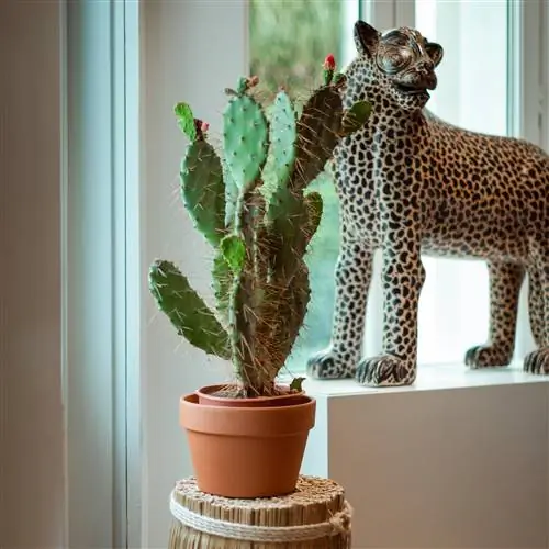 Arew, продуктовый магазин с мексиканским дизайном от Casa de México