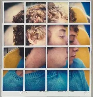 Грегори Лос-Анджелес, 31 марта 1982 г. Polaroid 14 ½ x 13 ¼