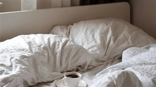 СОВЕТЫ, чтобы выбор ПОДУШКИ не лишил вас сна