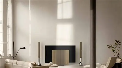 Новые колонки от Bang & Olufsen, искусство или технология?