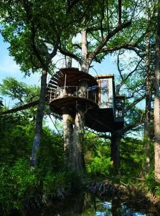 Дерево от художника Yoki Treehouse 2018 в Остине, Техас, США. Фото Улыбающийся лес Фотография Дерево от художника Yoki Treehouse 2018 в Остине, Техас, США. Фото Улыбающийся лес Фотография