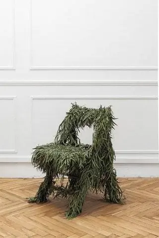 Стул с покрытием Eucalyptus Nicholii от Натальи Гальвн из Studio Floral
