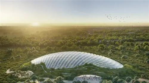 Тропикалия', самая большая тропическая оранжерея в мире