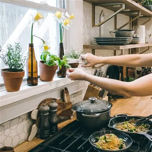 Ароматические и лекарственные растения, которые можно посеять весной