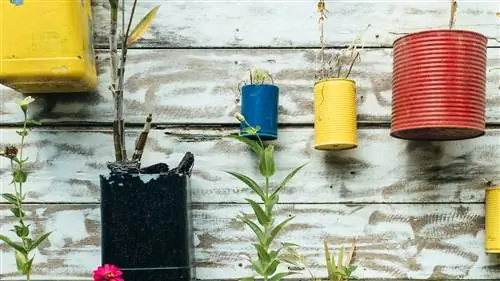 ЭКОЛОГИЯ преподают дома: хитрости, чтобы ОЗНАКОМИТЬСЯ С ДЕТЯМИ