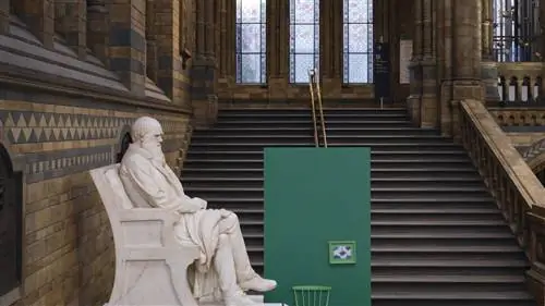 Красивые (и революционные) цвета DARWIN