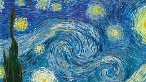 КНИГА, раскрывающая историю трех сестер Ван Гога