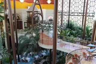 Растительность заполняет все. На фото деталь приема