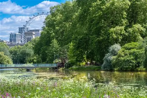Королева впервые открывает сады Букингемского дворца