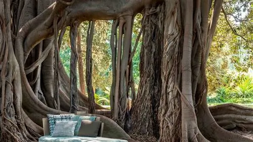 Коллекция садовой мебели 'Ethimo