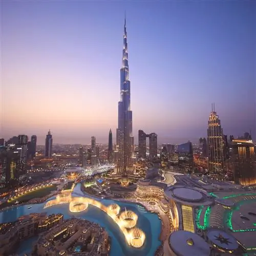 Дуби в кинофильмах, снятых в мегаполисе