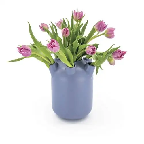 HEMA VASE, о которой все говорят