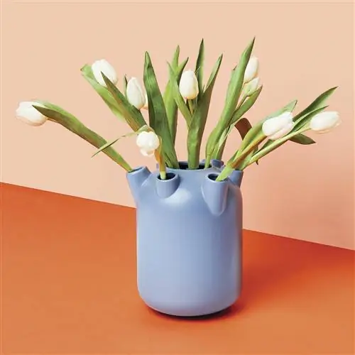 HEMA VASE, о которой все говорят