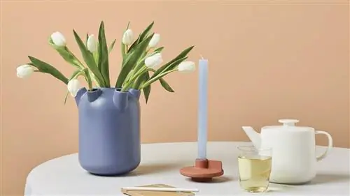 HEMA VASE, о которой все говорят