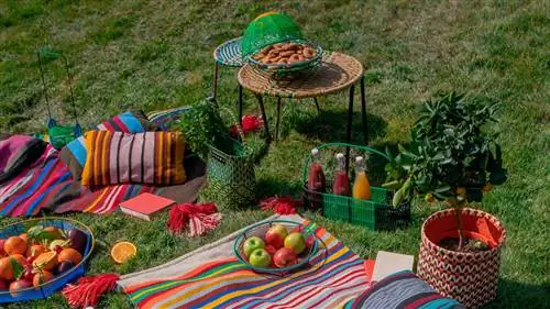 Marni Market Goes Around', самая красочная коллекция декора от итальянской фирмы