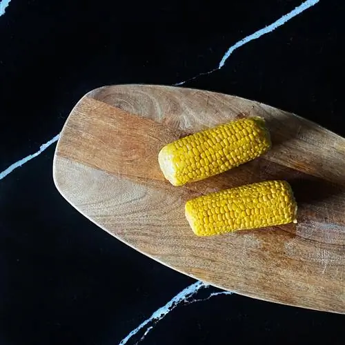 Початки с пармезаном и лаймом от Адрина Сальвадора