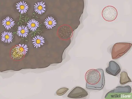 Что вызывает пыль в вашем доме Шаг 2