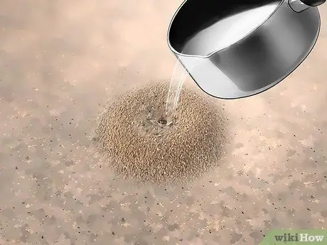 Убить летающих муравьев, шаг 10