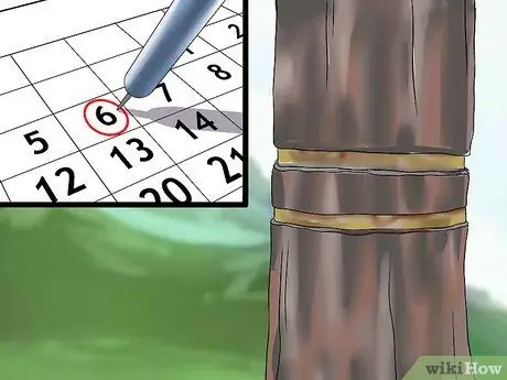 Убить дерево Шаг 6