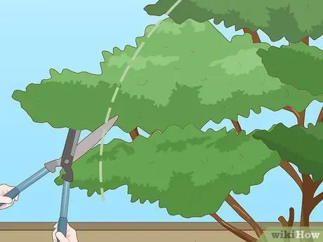 Подрезать дерево Шаг 7