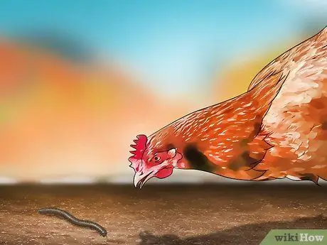 Избавиться от многоножек, шаг 14