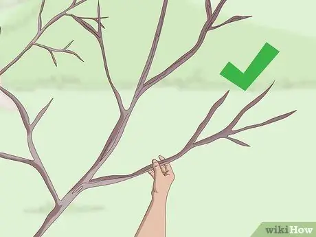 Корневые деревья Шаг 3
