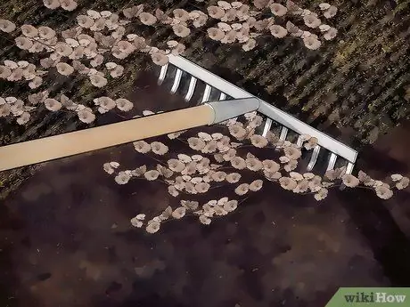 Убить Ползучего Чарли Шаг 11