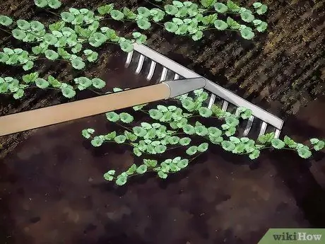 Убить Ползучего Чарли, шаг 4