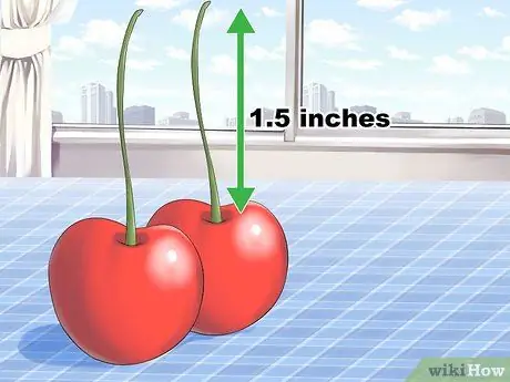 Завяжите узел на стебле вишни языком Шаг 1