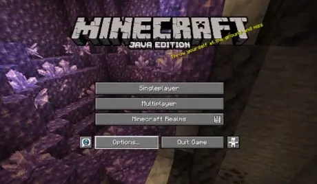 Включите субтитры в minecraft step 3