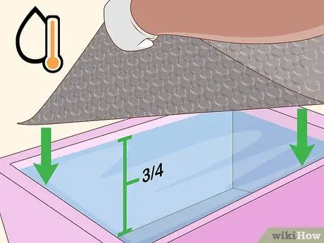 Hydro Dip Step 5