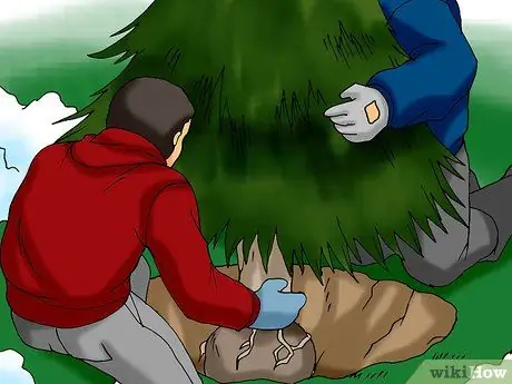 Посадить живую елку Шаг 11