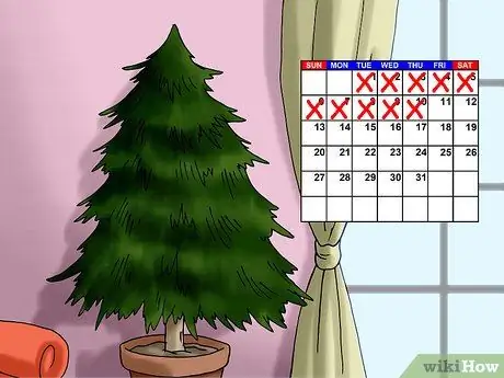 Посадить живую елку Шаг 2
